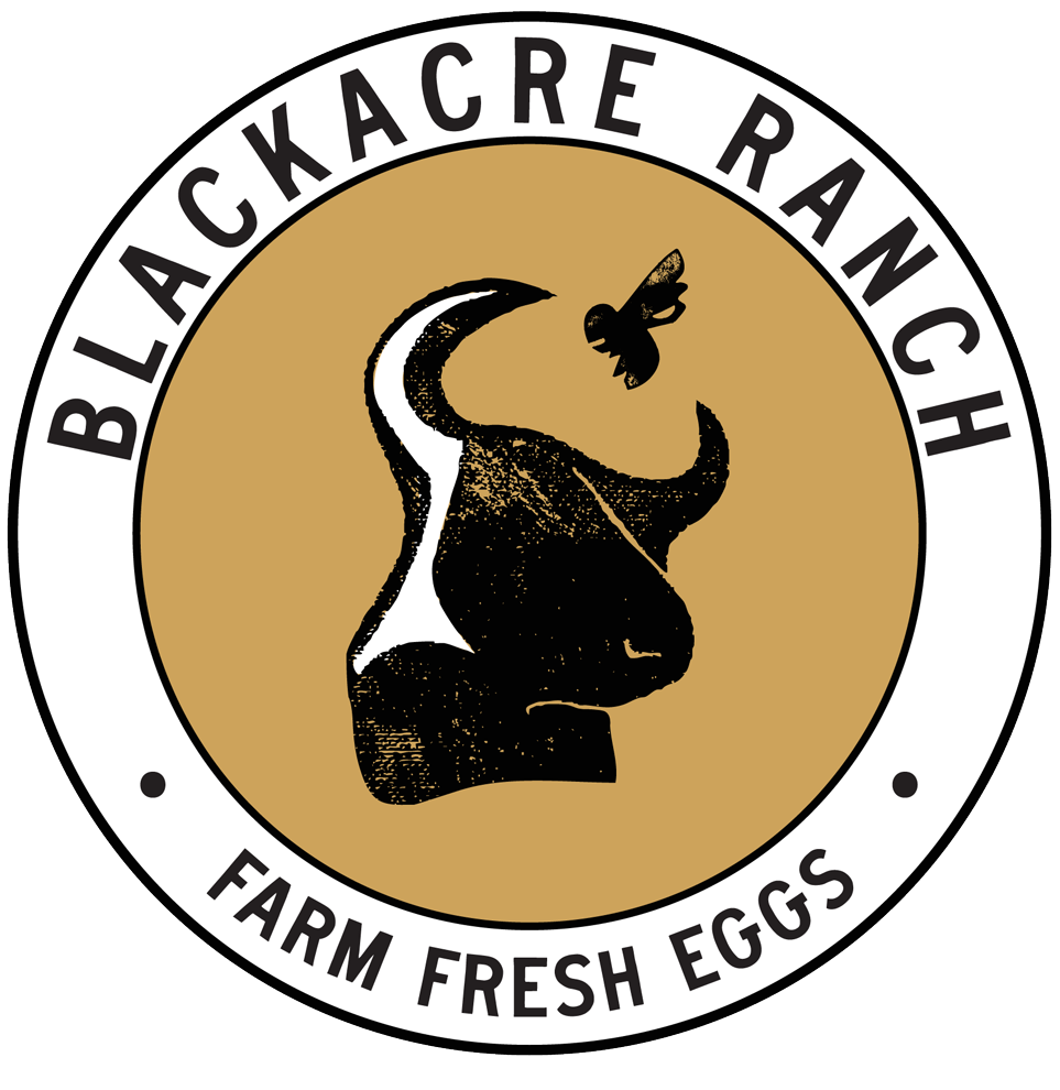 Blackacre Ranch Farm Fresh Eggs sticker logo.